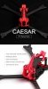 Rama Foxeer 5 CAESAR Racing Frame T700 